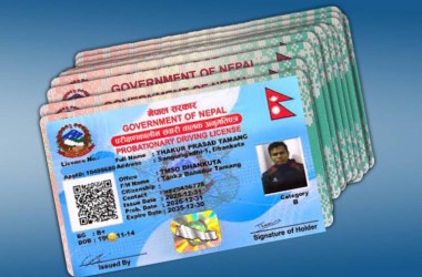 १ वर्षभन्दा कम म्याद रहेका ३ लाख लाइसेन्स नछापिने, यस्तो छ कारण_img