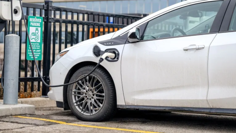 यस्ताे छ विश्वभर इलेक्ट्रीक सवारीको बजार हिस्सा (कसको कति बजार हिस्सा)