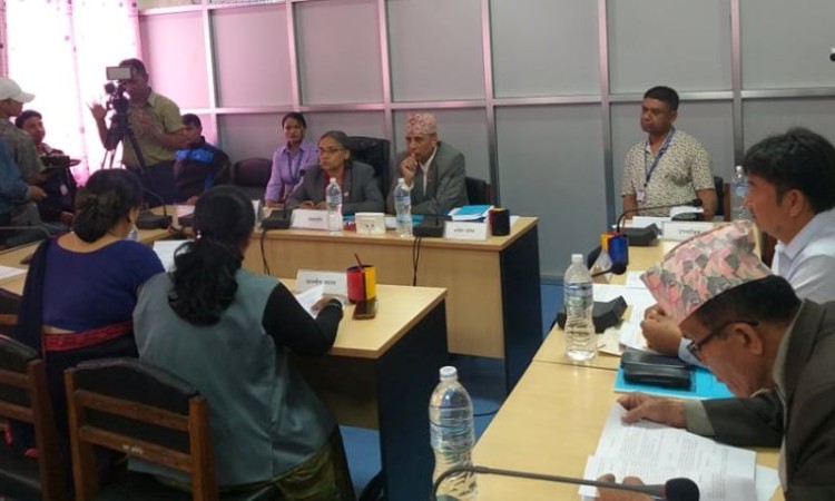 पप्पुलाई कारवाही गर्न सिफारिस_img