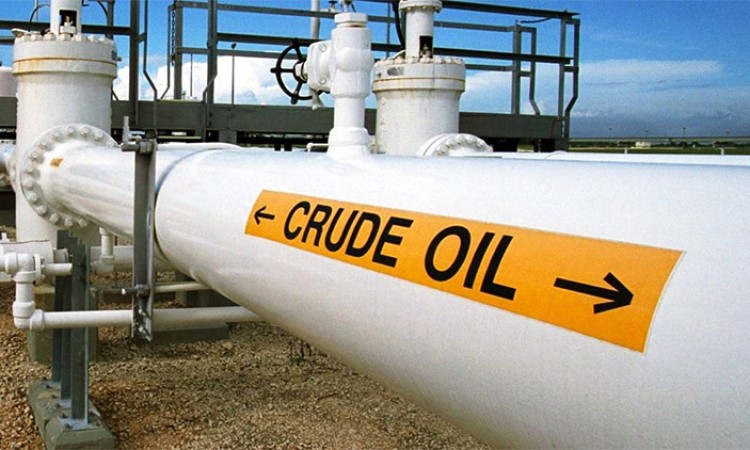 यस कारण अझै महंगो हुँदै पेट्रोलियम पदार्थ_img