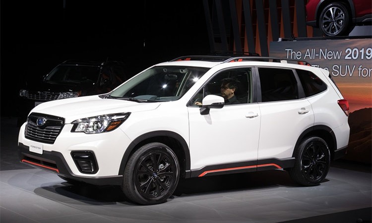 नयाँ प्ल्याटफर्ममा बनेको सुबरु फोष्टर नेपालमा, यस्तो छ मूल्य_img