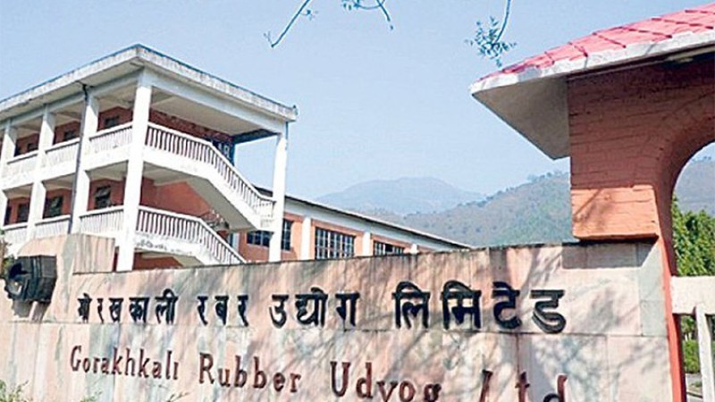 अर्थमन्त्री ज्यू, यसरी रोक्नुस् १० अर्वको टायर आयात