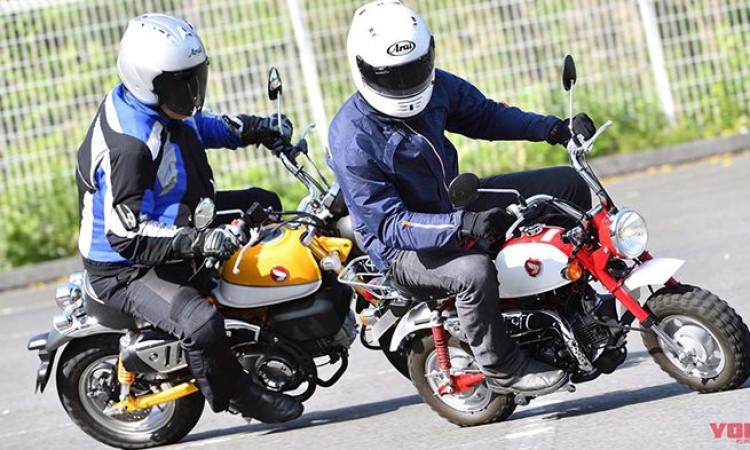 चढ्ने हो होन्डा मङ्की ? यस्तो छ मूल्य_img