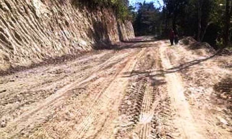 सडक सञ्जाल विस्तारले स्थानीयवासी खुशी_img