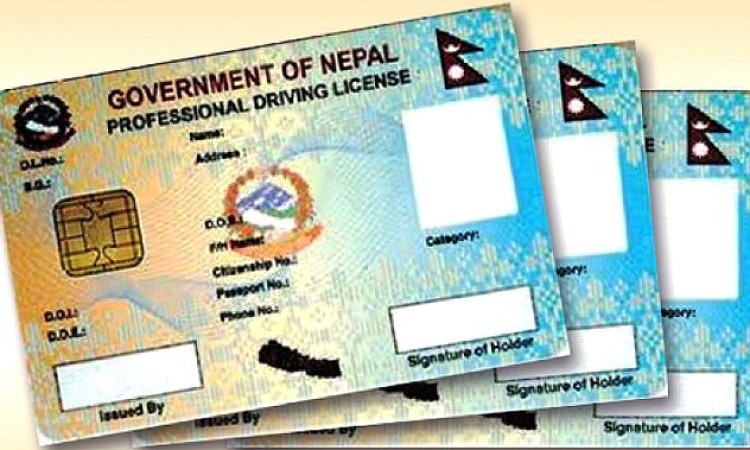 तपाईले लाइसेन्स पाउनु भो ? मासिक एक लाखको दरले प्रिन्ट हुँदै_img