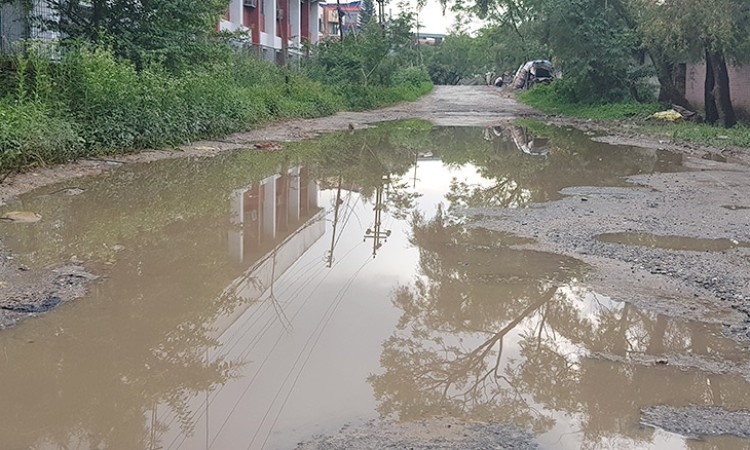 हेर्नुस् बार्षिक २० अर्व कमाउने कम्पनी जाने सडकको हालत (भिडियोसहित)_img