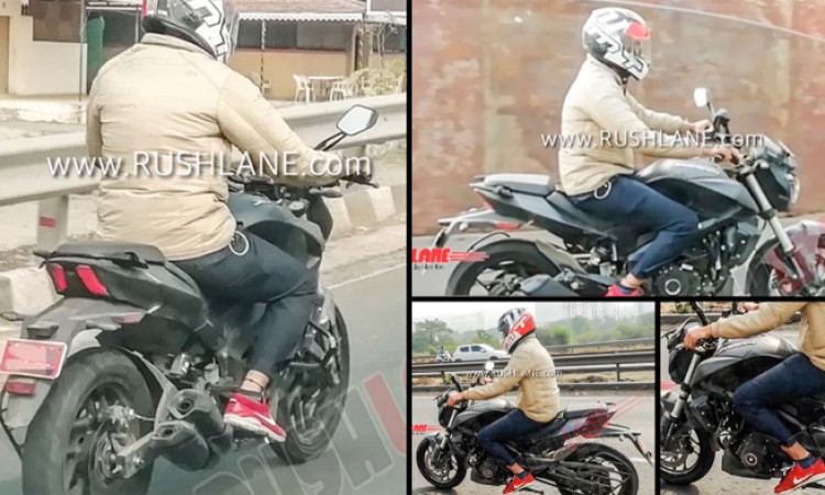 पल्सर २५० भन्दा पहिला डोमिनार २५० ल्याउँदै बजाज !_img