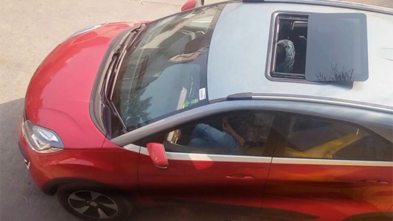 नेक्सनको दुई भेरियन्टमा थपिए फिचर, इलेक्ट्रीक सनरुफले थप्यो आकर्षण