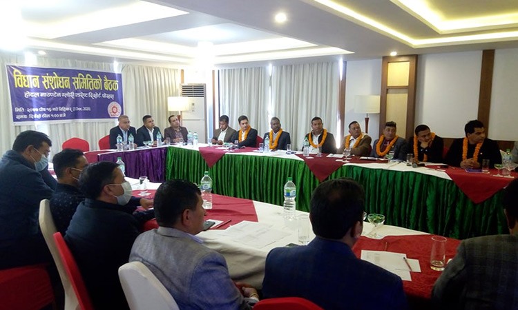 यस्ता छन् नाडाको विधान संशोधन समितिको निर्णय, समितिको बैंठक पोखरामा_img