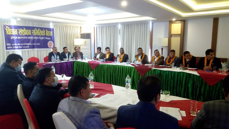 यस्ता छन् नाडाको विधान संशोधन समितिको निर्णय, समितिको बैंठक पोखरामा