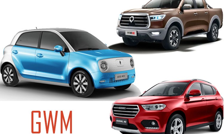 निषेधाज्ञा सकिएपछि नेपालमा विक्री सुरु हुँदै ग्रेटवालका उत्पादन, सबैको आँखा ‘ओरा आर-१’मा_img