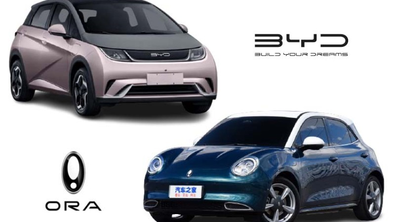 ओरा गुड क्याट र बीवाइडी डल्फीनमा यस्ता छन् भिन्नता