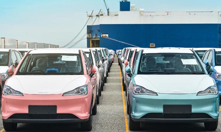 नेटाको बिक्रीमा उछाल, जोर्डनमा पनि बिक्री सुरू_img