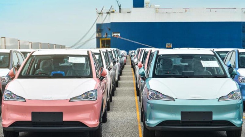 नेटाको बिक्रीमा उछाल, जोर्डनमा पनि बिक्री सुरू