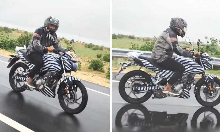 छिट्टै बजारमा आउँदै बजाज पल्सरको नयाँ मोडल_img