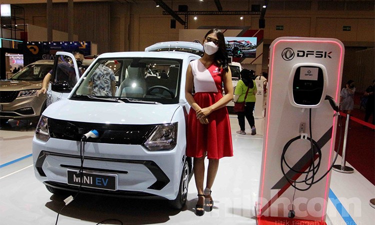 तीन ब्याट्री अप्सनमा डिएफएसकेको ‘फेङ्गन मिनी ईभी’_img