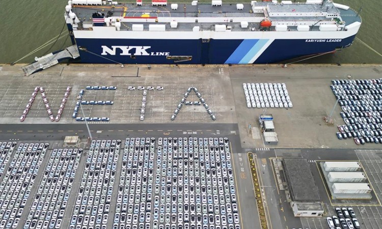 नेटाभीकाे माग बढ्दाे,एकैपटक ३६०० यूनिट थाइल्याण्ड निर्यात_img