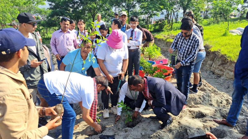 विश्व वातावरण दिवसः बीवाइडीले रोप्यो १५ सय बिरुवा