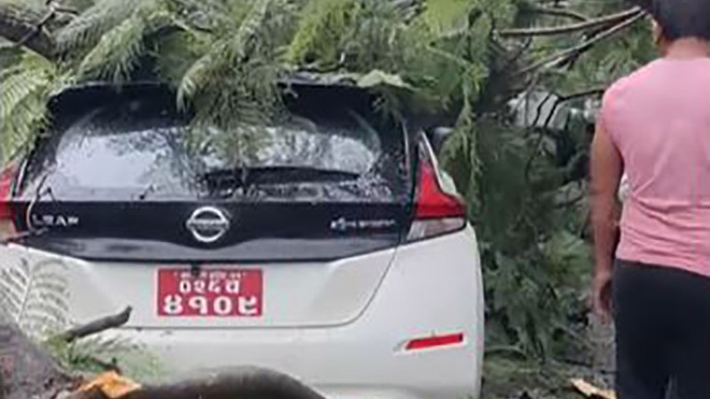 निसान लिफ माथि महालक्ष्मीथानमा रुख ढल्दा…