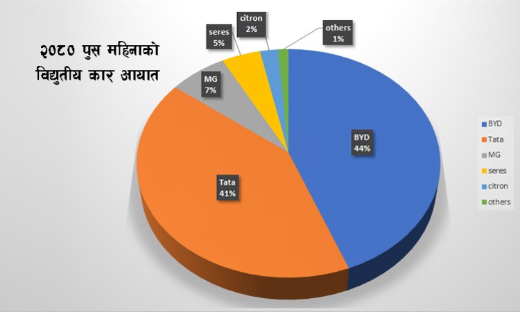 पुसमा विद्युतीय कार आयातमा नयाँ रेकर्ड, हेर्नुहोस् ब्राण्ड अनुसारको आयात_img