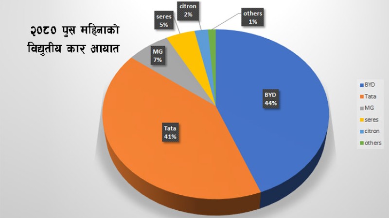 पुसमा विद्युतीय कार आयातमा नयाँ रेकर्ड, हेर्नुहोस् ब्राण्ड अनुसारको आयात