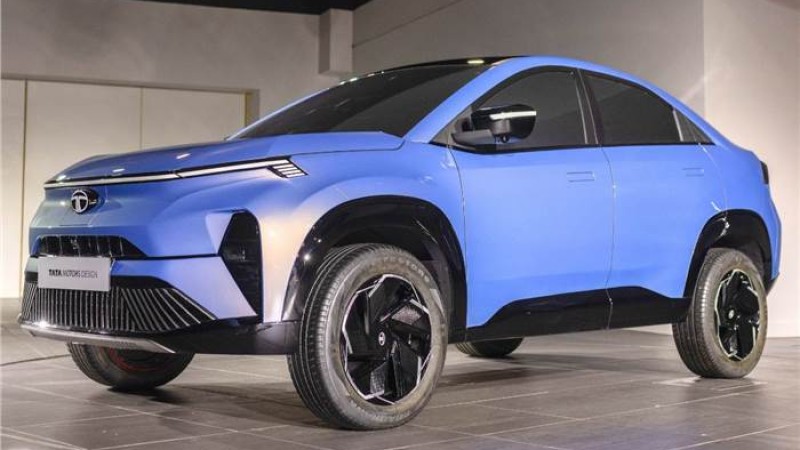 टाटाको कर्भमा रहने ब्याट्रीको विवरण सार्वजनिक
