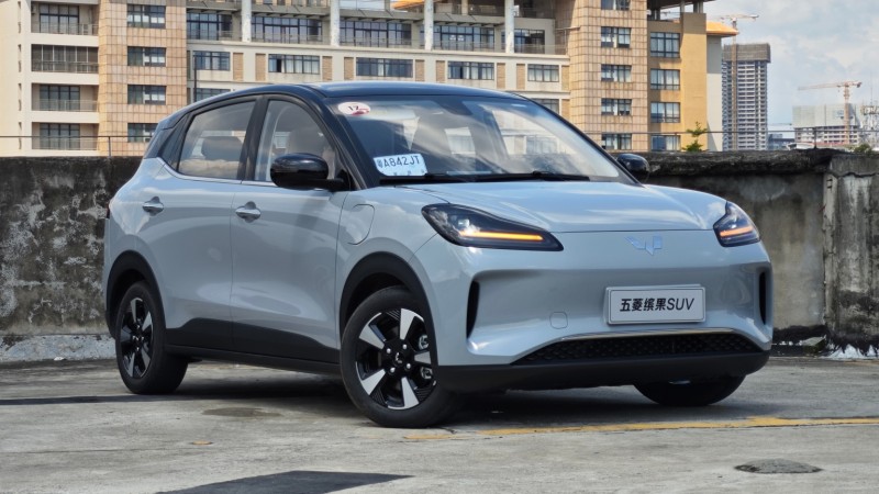 सन् २०२५ को सुरुवातमै विलिङको ‘प्राइस वार’