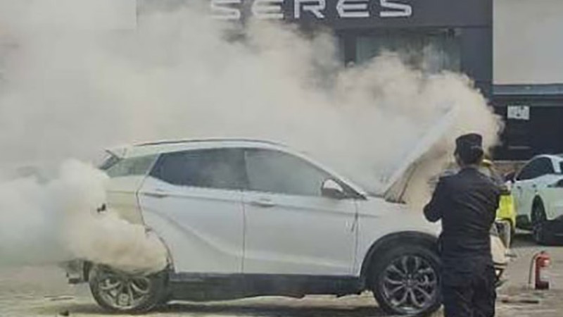 सर्भिस सेन्टरमा राखिएको विद्युतीय कारमा आगलागी