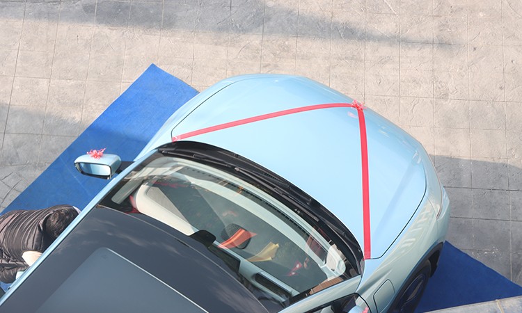 २२० एमएम ग्राउन्ड क्लियरेन्स भएको ‘एलईभी-०१’ (फोटोफिचर)_img