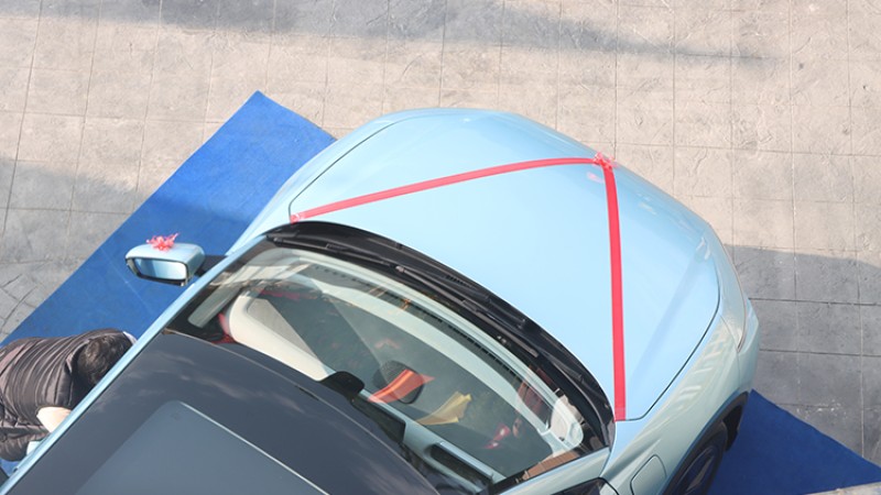 २२० एमएम ग्राउन्ड क्लियरेन्स भएको ‘एलईभी-०१’ (फोटोफिचर)