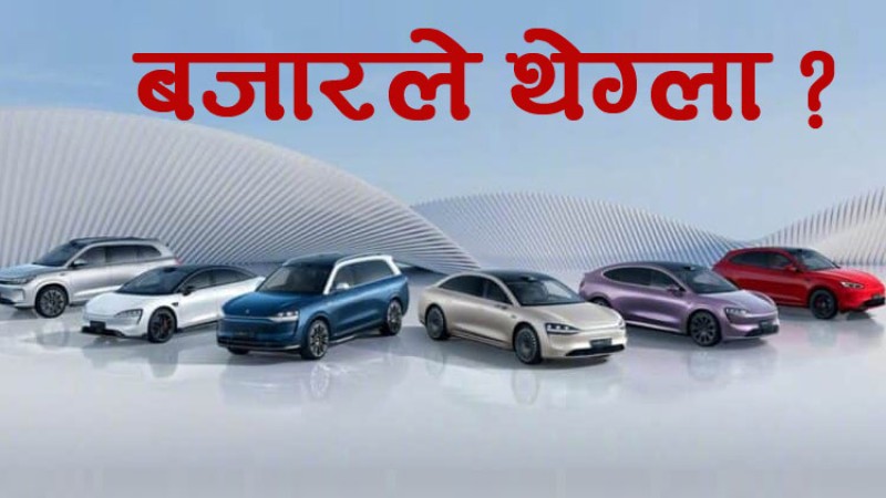 ५० कार ब्राण्ड नेपालमा, कुन कुन टिक्लान् ?