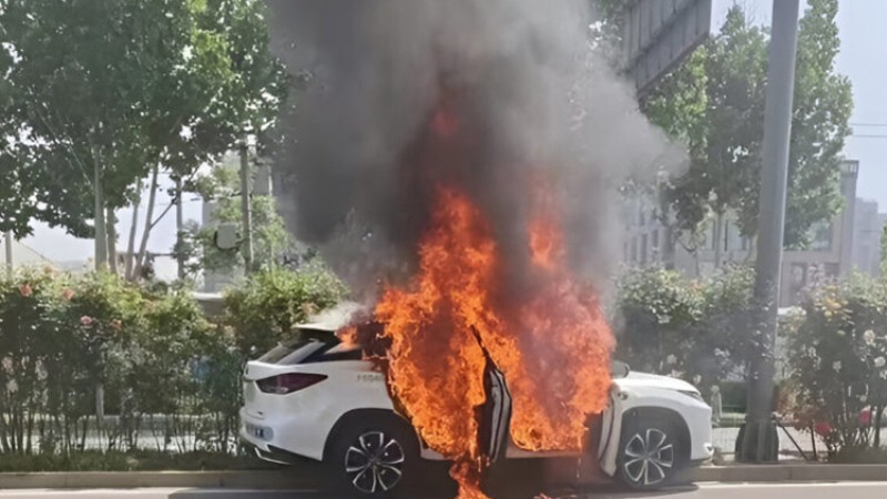 आगलागीपछि पोनी एआई रोबोट्याक्सी संचालनमा रोक