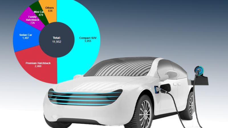गत आवमा आए १२ हजार विद्युतीय प्यासेन्जर कार, कुन सेग्मेन्टमा कति ?