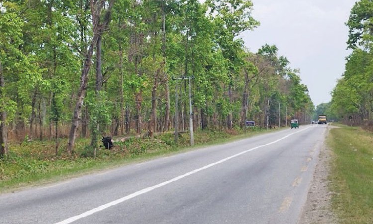 चाँडै ४ लेनमा विस्तार सुरू हुँदै दुई राजमार्ग, सीमा अतिक्रमण नगर्न आग्रह_img