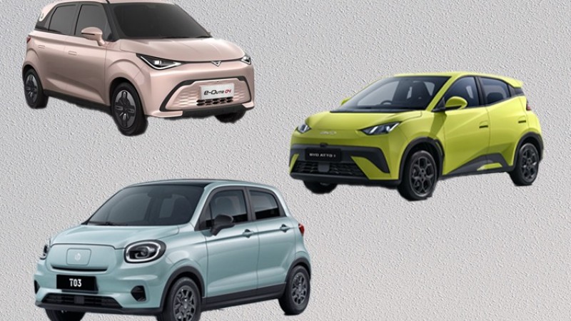 साना ईभीमा कुन ब्राण्ड बलियो, यस्तो छ एक वर्षको आयात