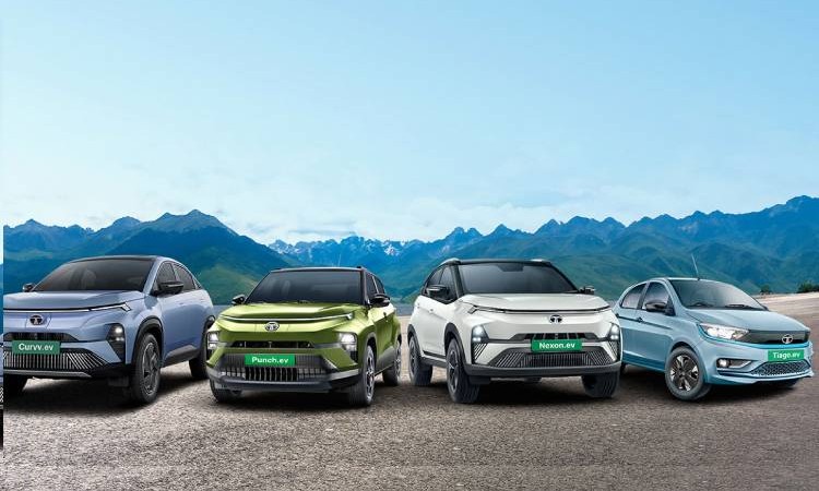 भारतमा ईभी बिक्रीमा उछाल, जनवरीमा कुन ब्राण्डका कति बिके ?_img