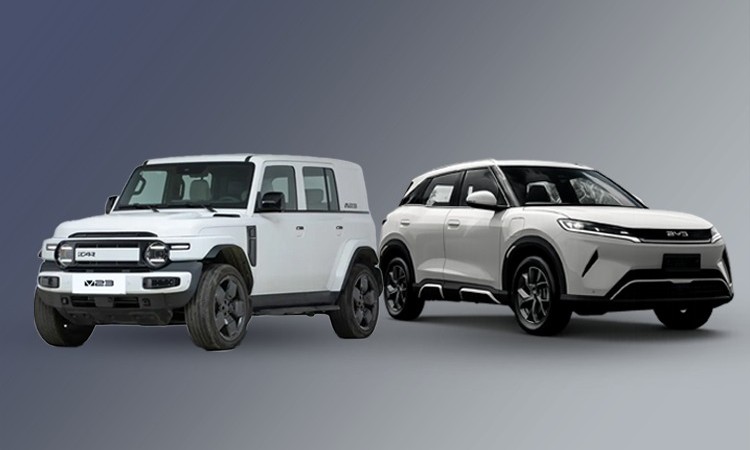 मूल्य र डिजाइनमा ठूलै फरक, कुन किन्दा बढी फाइदा ?_img