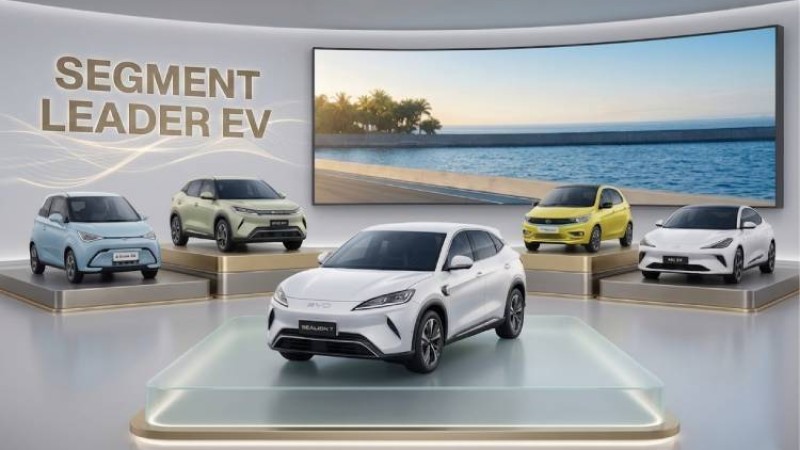 सेग्मेन्ट लिडर ६ ईभी : बीवाइडीका ३ मोडल, अरू कुन ?