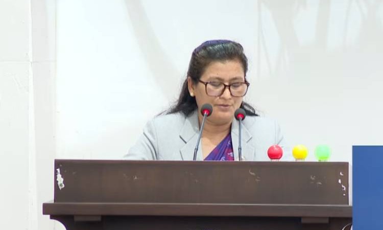 पुराना धुँवा फाल्ने गाडी विस्थापित गर्ने नीति ल्याउन सांसदको माग_img