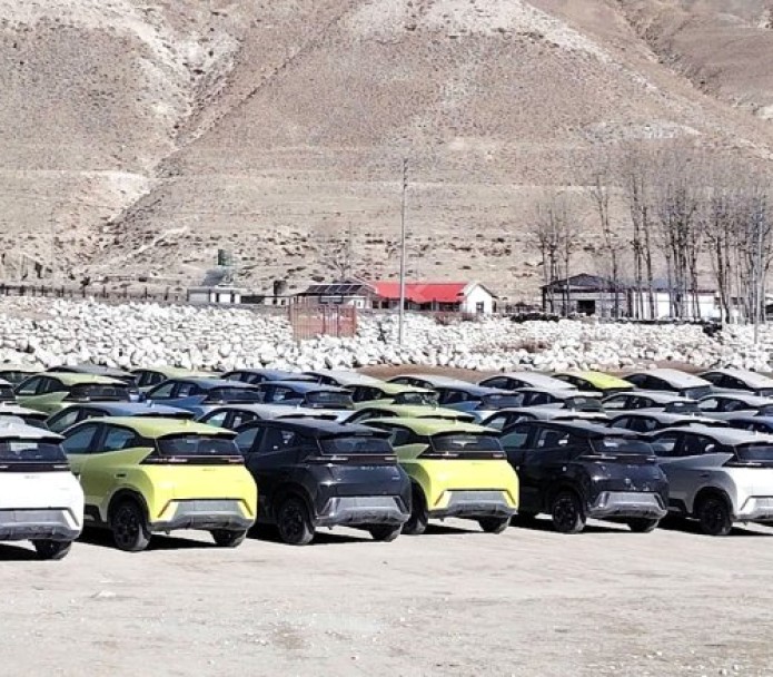 चैतसम्म भित्रिए साढे ११ हजार कार, ईभी आयात १०% घट्यो_img